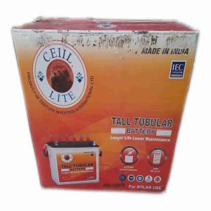 Century ceiil lite tubular battery 220amps